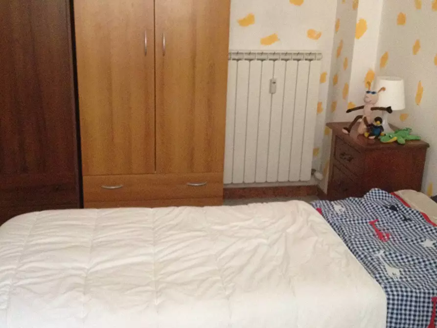 Immagine 14 di Camera in affitto  in Via Borgo Stretto 15 a Pisa