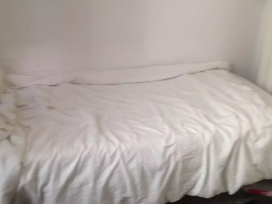 Immagine 20 di Camera in affitto  in Via Borgo Stretto 15 a Pisa