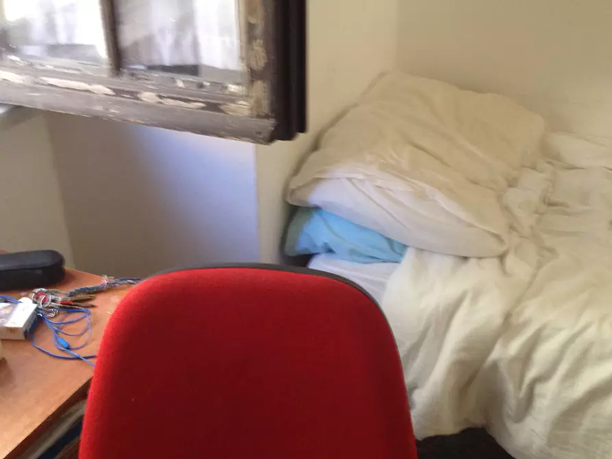 Immagine 21 di Camera in affitto  in Via Borgo Stretto 15 a Pisa