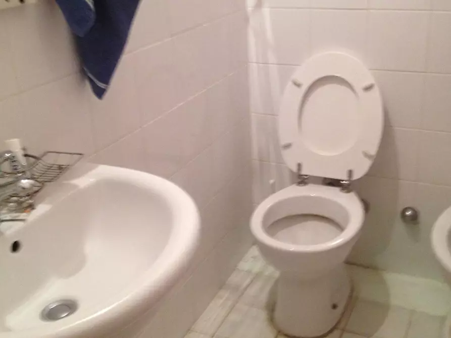 Immagine 23 di Camera in affitto  in Via Borgo Stretto 15 a Pisa