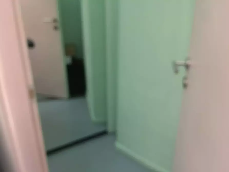 Immagine 5 di Attività commerciale in affitto  in Corso Italia a Pisa