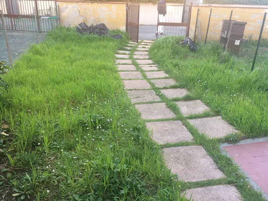 Immagine 7 di Casa indipendente in affitto  in Via Tommaso Rook a Pisa