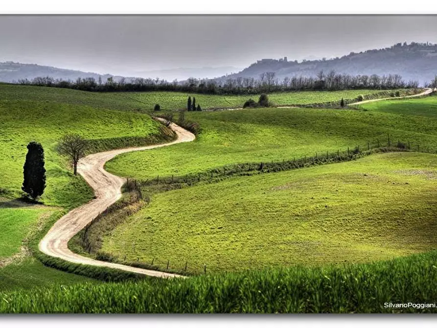 Immagine 2 di Villetta a schiera in vendita  in Via Delle Buchette a Collesalvetti