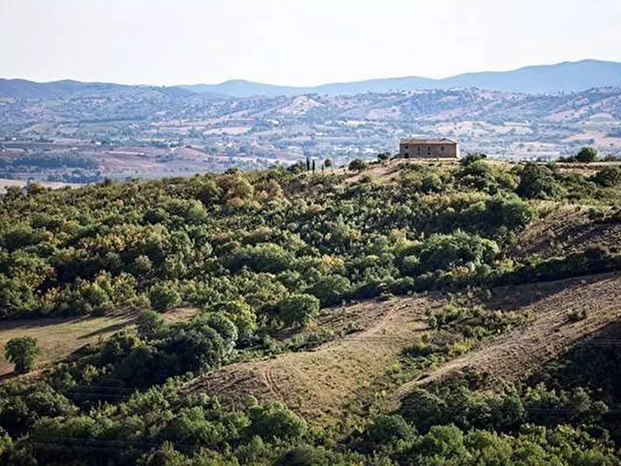 Immagine 4 di Villetta a schiera in vendita  in Via Delle Buchette a Collesalvetti