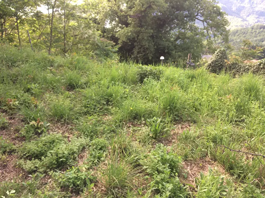 Immagine 15 di Casa indipendente in vendita  in san cassiano a Bagni Di Lucca