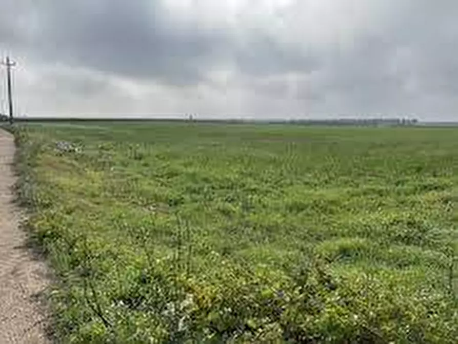 Immagine 4 di Terreno agricolo in vendita  in via ulisse dini - a San Giuliano Terme