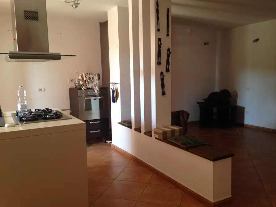 Immagine 14 di Appartamento in vendita  in Via Selvagrossa 19 a Fauglia