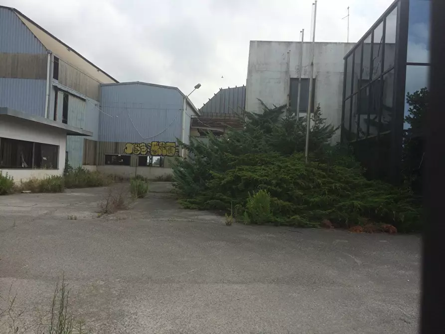 Immagine 1 di Capannone industriale in vendita  in Via Porta A Mare a Pisa