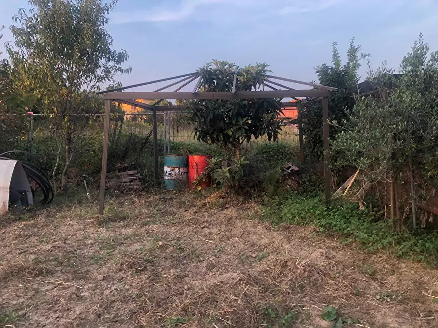 Immagine 2 di Terreno agricolo in vendita  in via montanelli a Pisa