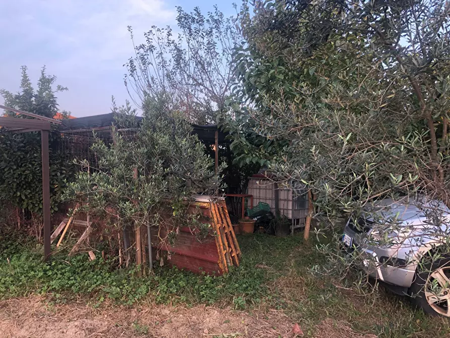 Immagine 3 di Terreno agricolo in vendita  in via montanelli a Pisa