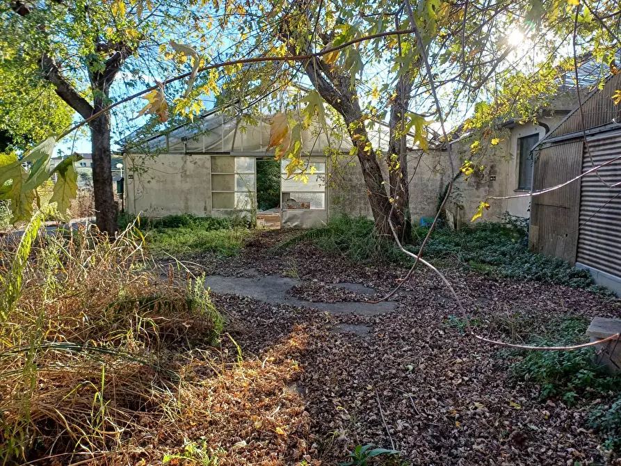 Immagine 3 di Terreno agricolo in vendita  in via lenin - a San Giuliano Terme