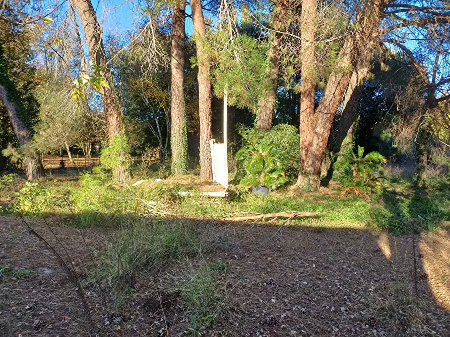 Immagine 2 di Terreno agricolo in vendita  in via lenin - a San Giuliano Terme