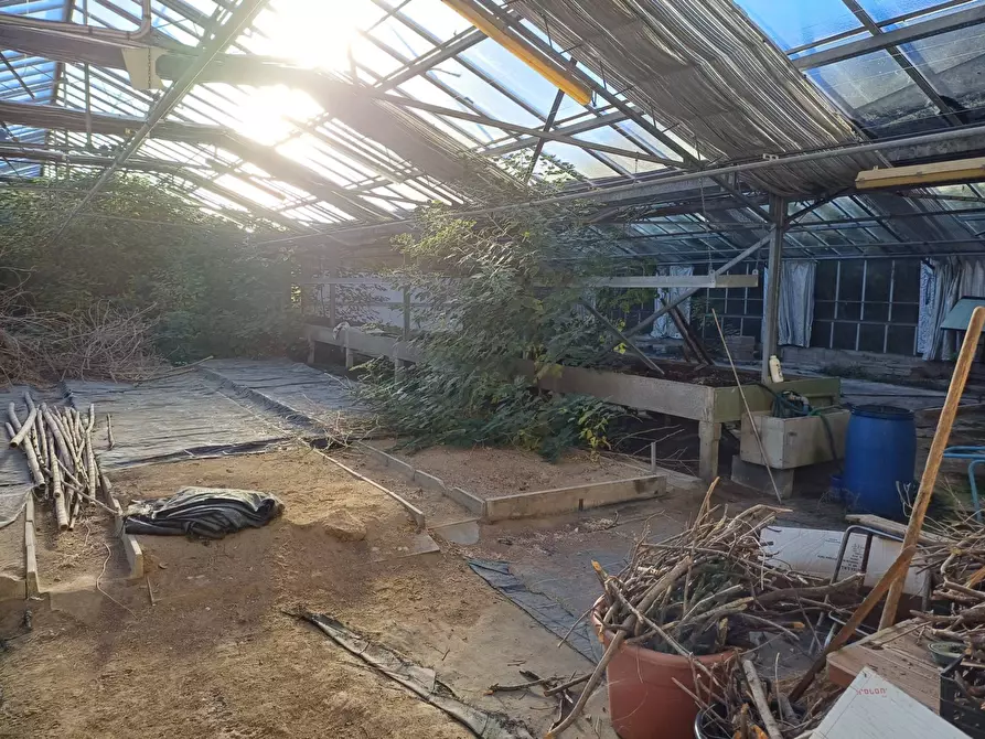 Immagine 4 di Terreno agricolo in vendita  in via lenin - a San Giuliano Terme