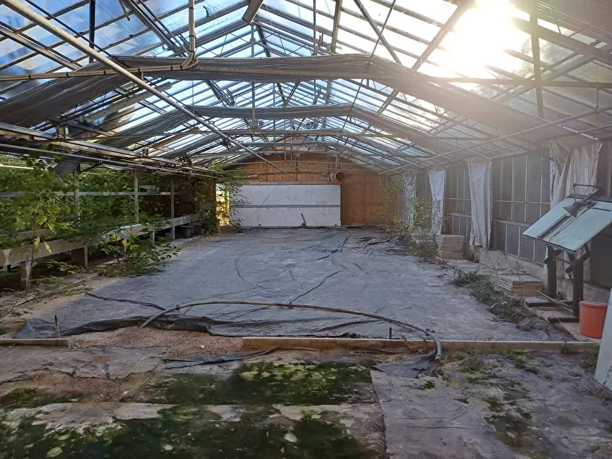 Immagine 5 di Terreno agricolo in vendita  in via lenin - a San Giuliano Terme