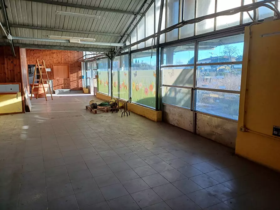 Immagine 6 di Terreno agricolo in vendita  in via lenin - a San Giuliano Terme