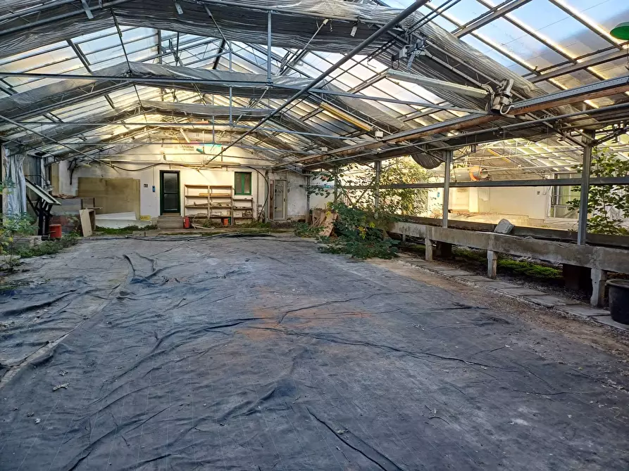 Immagine 8 di Terreno agricolo in vendita  in via lenin - a San Giuliano Terme