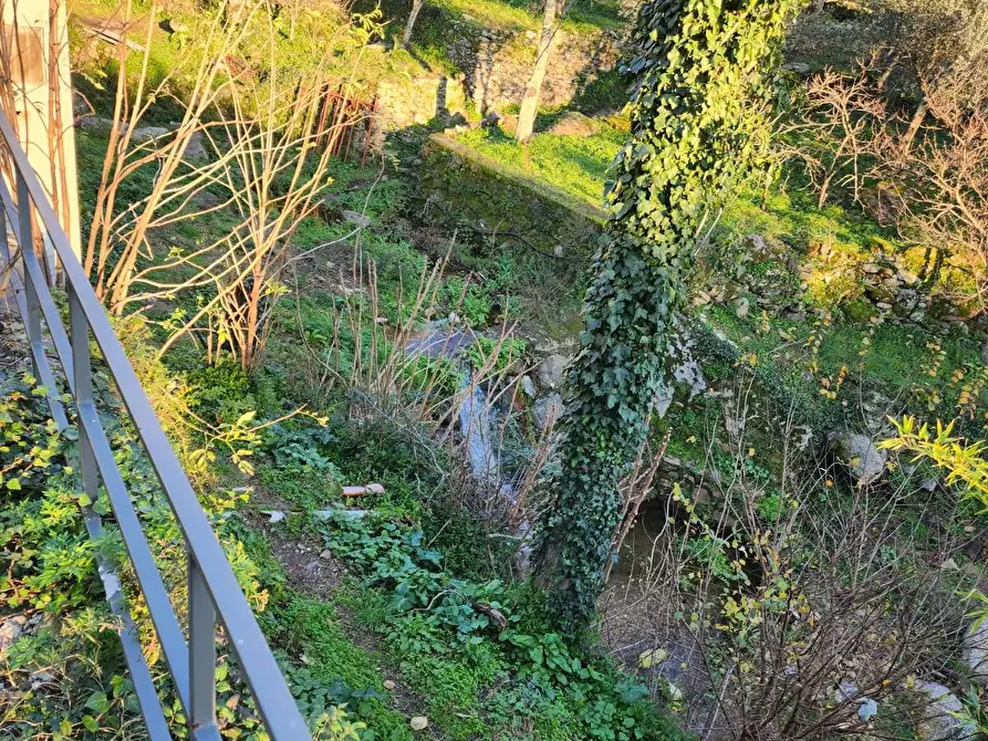 Immagine 13 di Casa indipendente in vendita  in via ruschi a Calci