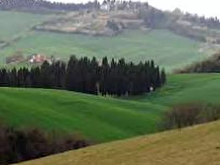 Immagine 15 di Attività commerciale in vendita  in Via Napoli 15 a Collesalvetti