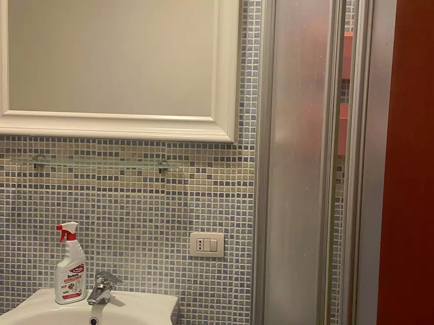 Immagine 34 di Appartamento in vendita  in Via Selvagrossa 19 a Fauglia