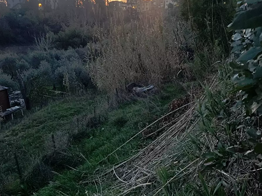 Immagine 36 di Appartamento in vendita  in Via Selvagrossa 19 a Fauglia