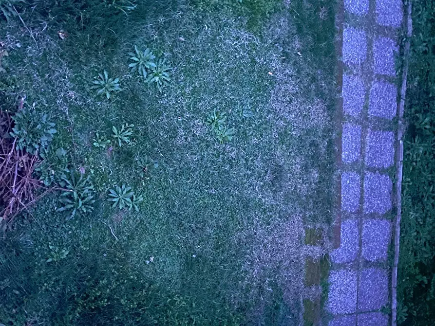 Immagine 35 di Appartamento in vendita  in Via Selvagrossa 19 a Fauglia