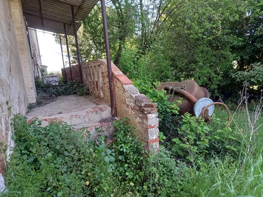 Immagine 15 di Appartamento in vendita  in Via Scacciapolli 1 a Collesalvetti