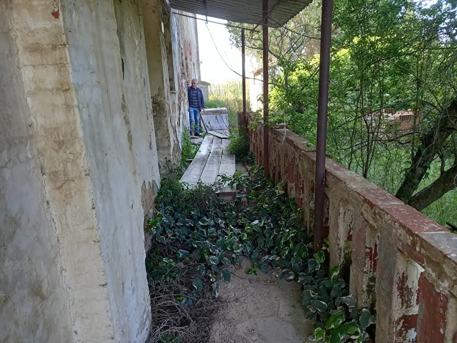 Immagine 5 di Appartamento in vendita  in Via Scacciapolli 1 a Collesalvetti