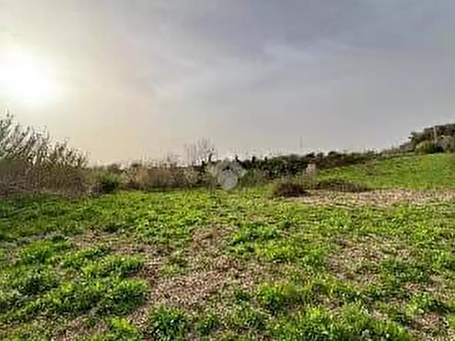 Immagine 3 di Terreno residenziale in vendita  in via giovanni gronchi a Pisa