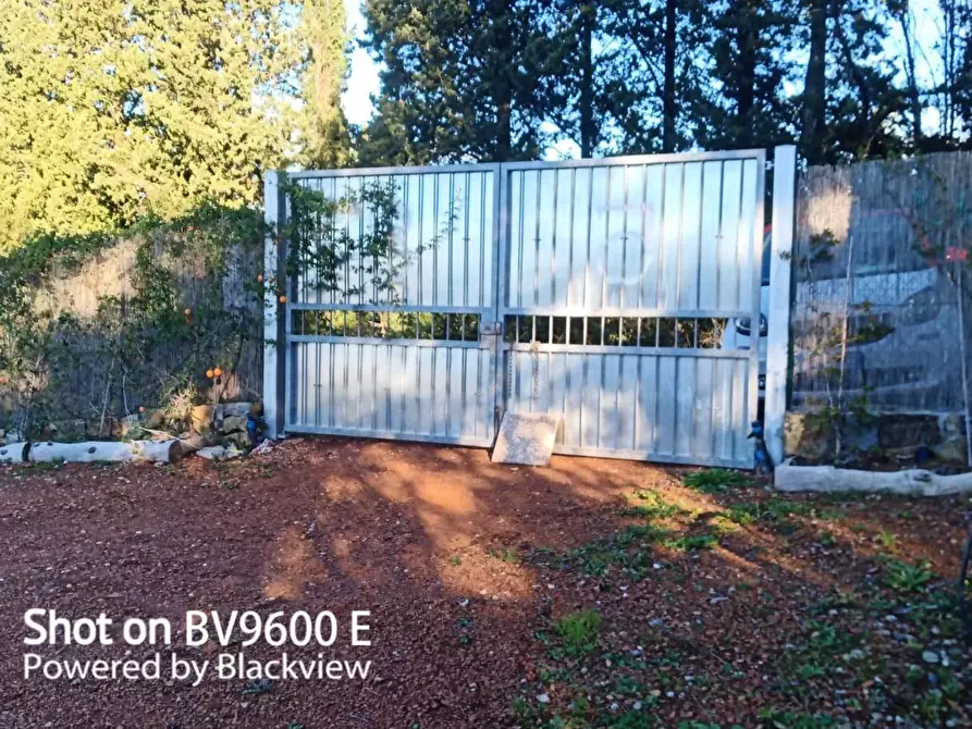 Immagine 3 di Terreno agricolo in vendita  in Via Dello Gore a Livorno