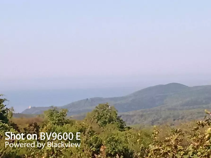 Immagine 1 di Terreno agricolo in vendita  in Via del Vaiolo 5 a Rosignano Marittimo