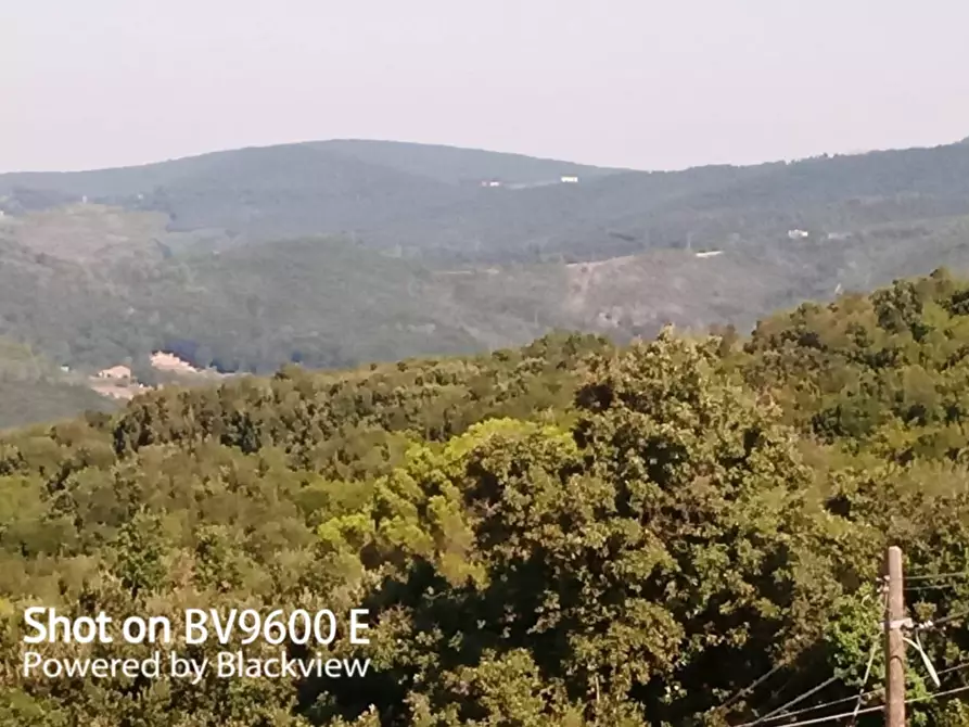 Immagine 2 di Terreno agricolo in vendita  in Via del Vaiolo 5 a Rosignano Marittimo