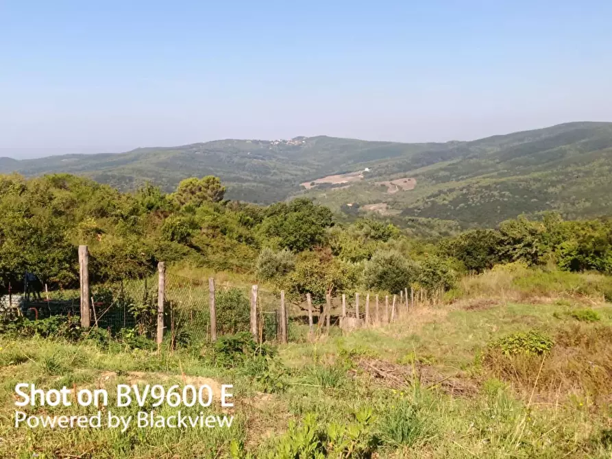 Immagine 3 di Terreno agricolo in vendita  in Via del Vaiolo 5 a Rosignano Marittimo