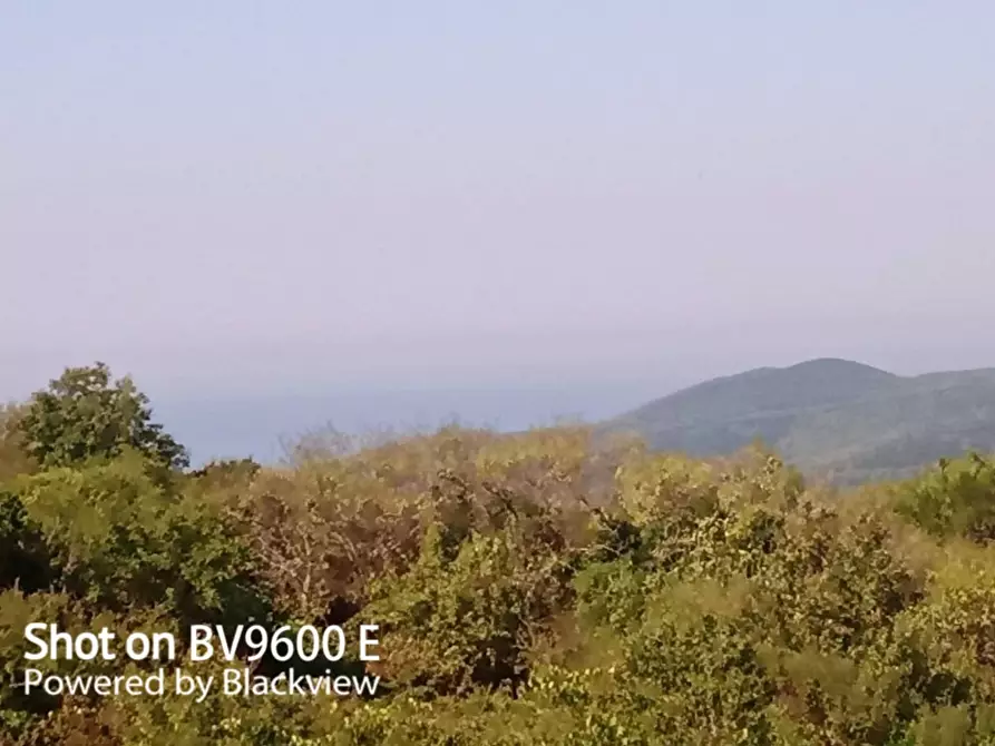 Immagine 4 di Terreno agricolo in vendita  in Via del Vaiolo 5 a Rosignano Marittimo