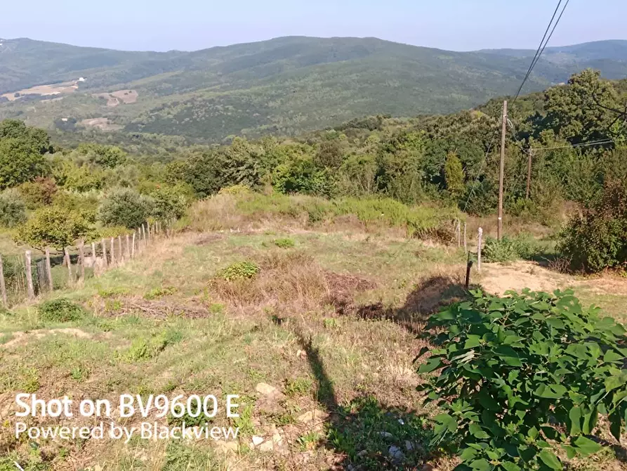 Immagine 5 di Terreno agricolo in vendita  in Via del Vaiolo 5 a Rosignano Marittimo
