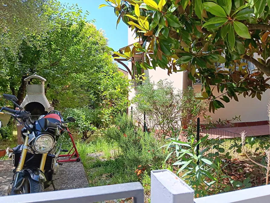 Immagine 1 di Appartamento in vendita  in Via degli Ulivi 30 a Collesalvetti