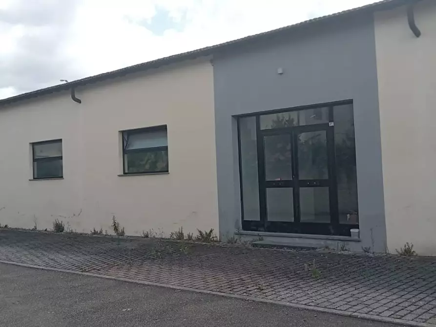 Immagine 10 di Attività commerciale in vendita  in Via Giosue' Carducci 6 a Pisa