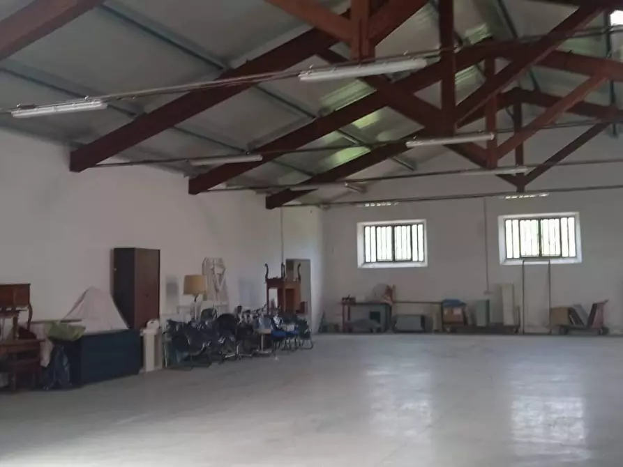 Immagine 16 di Attività commerciale in vendita  in Via Giosue' Carducci 6 a Pisa