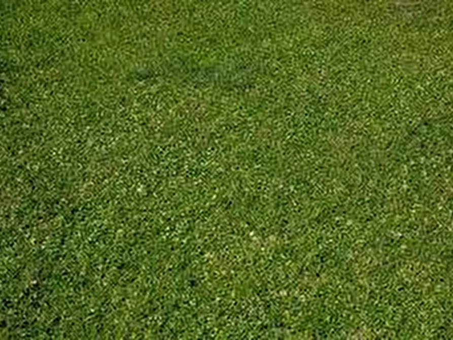 Immagine 4 di Terreno agricolo in vendita  in via piantalbis 129 a Cascina