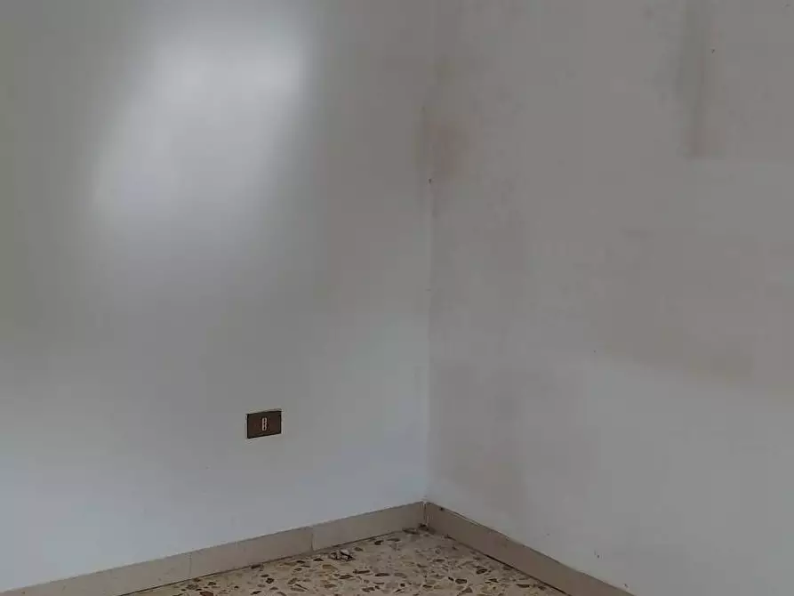 Immagine 8 di Appartamento in vendita  in Via Roma 30 a Collesalvetti