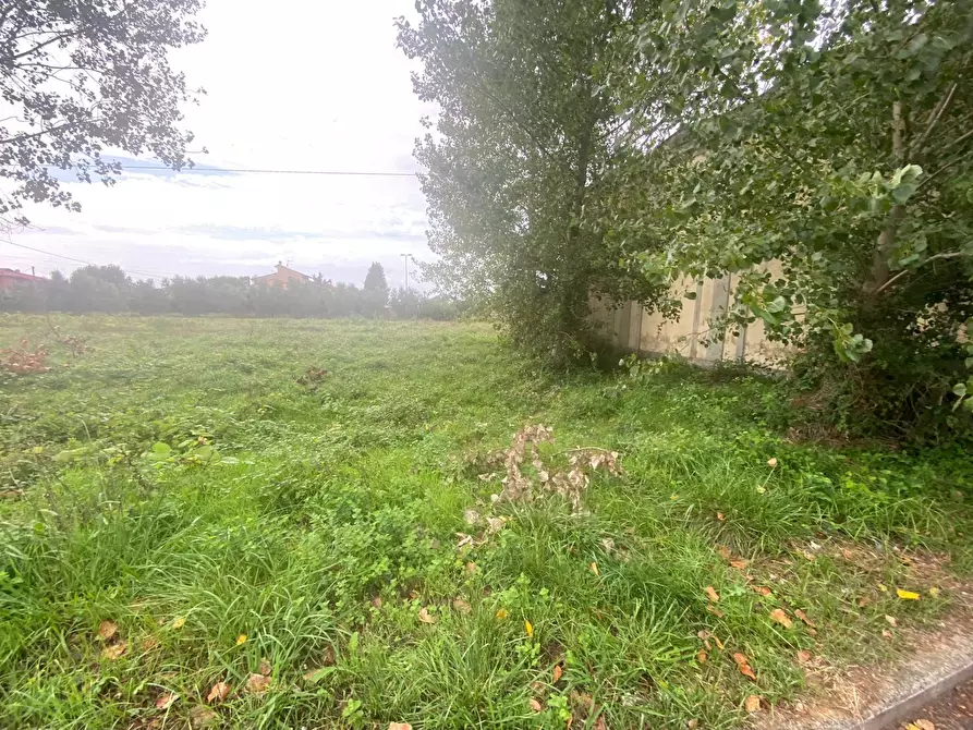 Immagine 1 di Terreno agricolo in vendita  in via di mezzo sud 86 a Cascina