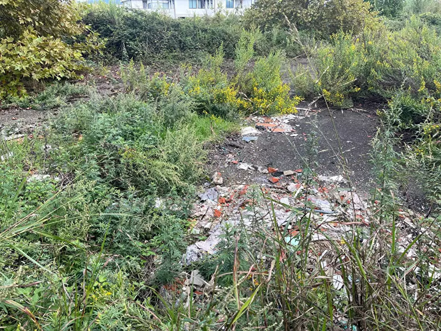 Immagine 3 di Terreno agricolo in affitto  in via fiorentina a Pisa