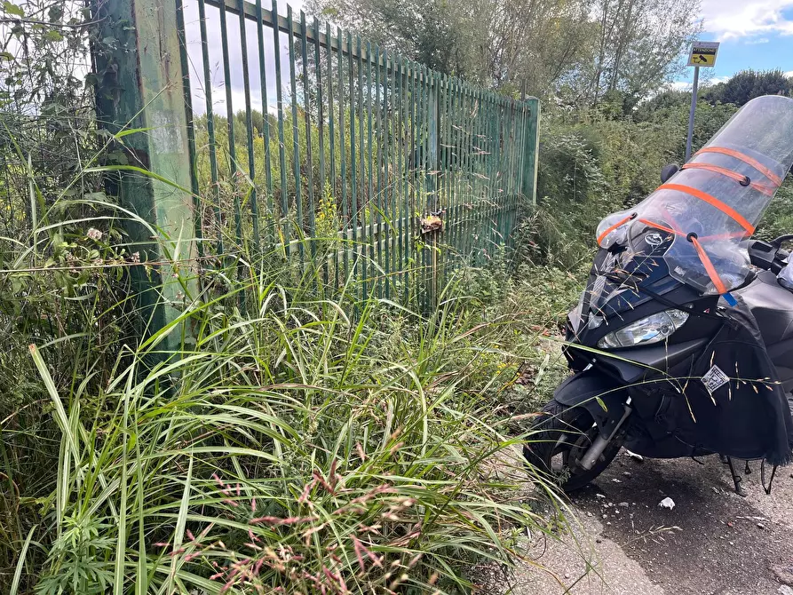 Immagine 4 di Terreno agricolo in affitto  in via fiorentina a Pisa