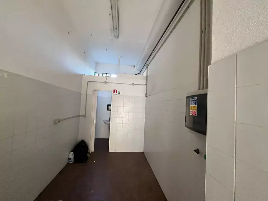 Immagine 7 di Attività commerciale in affitto  in Via michelangelo 15 a Pisa