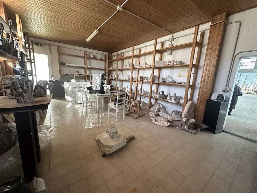 Immagine 19 di Attività commerciale in vendita  in via dell'arte 8 a Pietrasanta