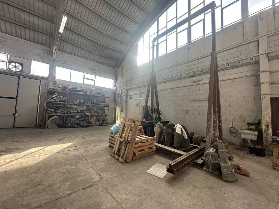 Immagine 13 di Attività commerciale in vendita  in via dell'arte 8 a Pietrasanta