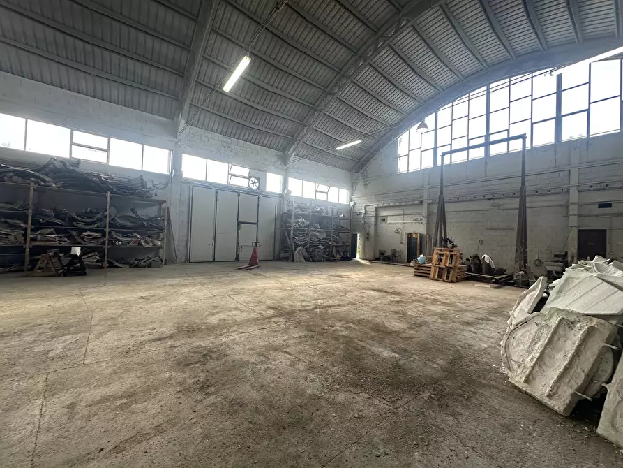 Immagine 3 di Attività commerciale in vendita  in via dell'arte 8 a Pietrasanta