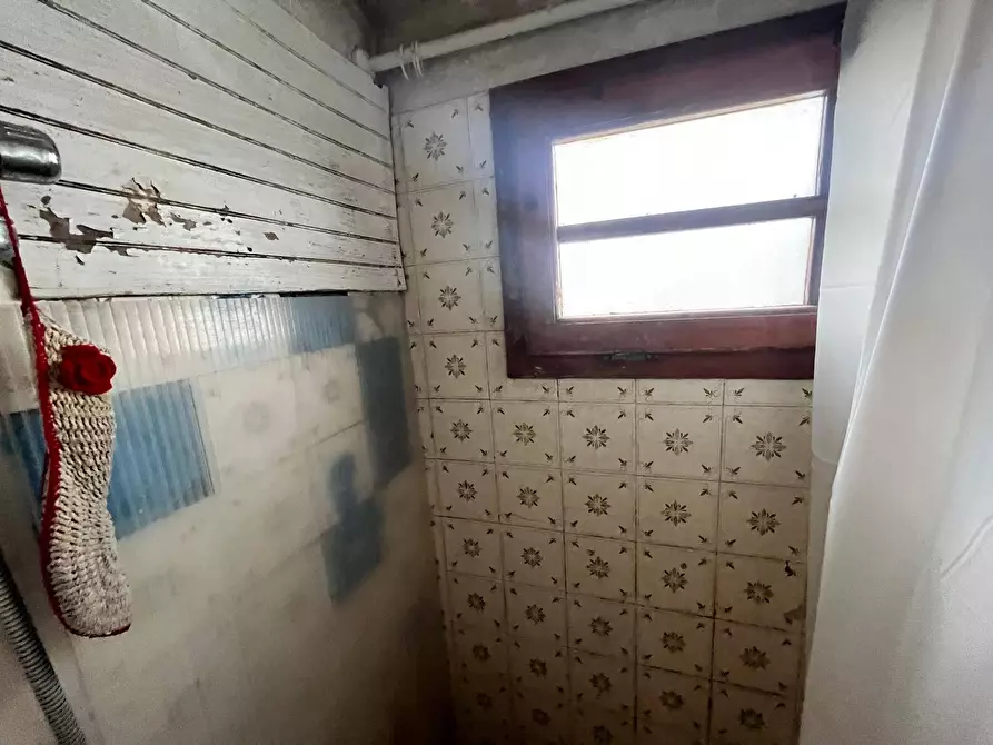 Immagine 12 di Camera in affitto  in via san zeno 5 a Pisa