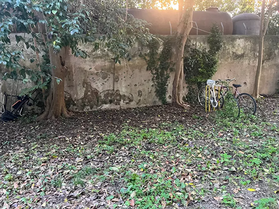 Immagine 12 di Appartamento in vendita  in Piazza Dei Cavalieri 5 a Pisa