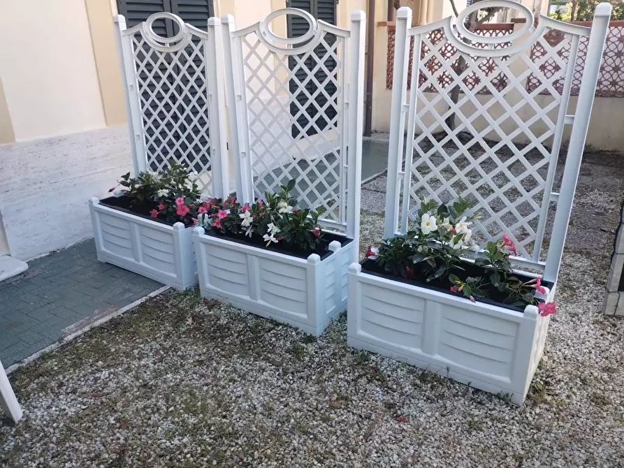 Immagine 14 di Appartamento in affitto  in via roma capitale 1 a Camaiore