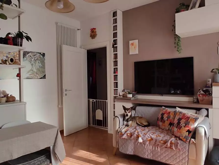 Immagine 13 di Appartamento in vendita  in Via del Timo 56 a Collesalvetti